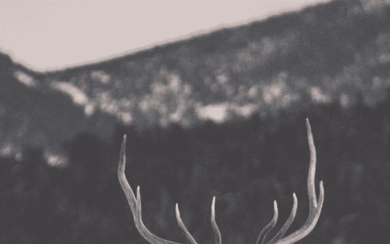 old elk straight rye whiskey get free shipping flaviar